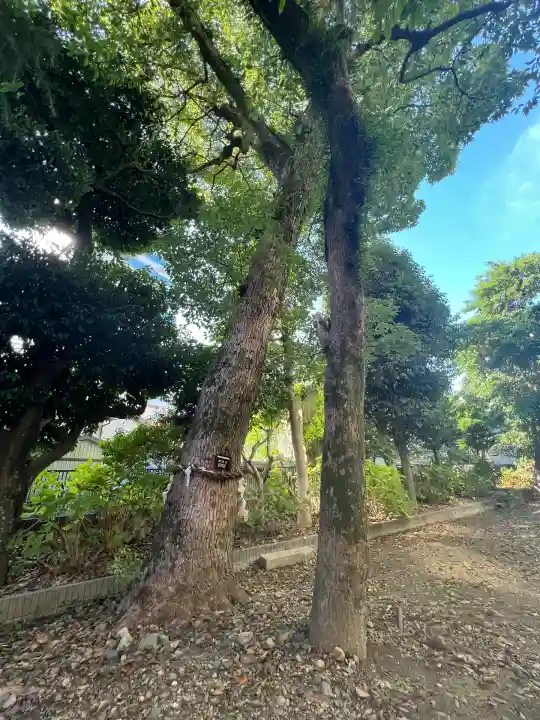 遠江分器稲荷神社(静岡県)