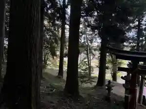 大宮温泉神社(栃木県)(2023年10月26日(木) 08時10分33秒投稿)