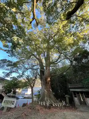 藤白神社(和歌山県)