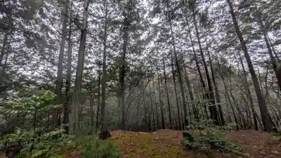 秋葉神社(京都府)