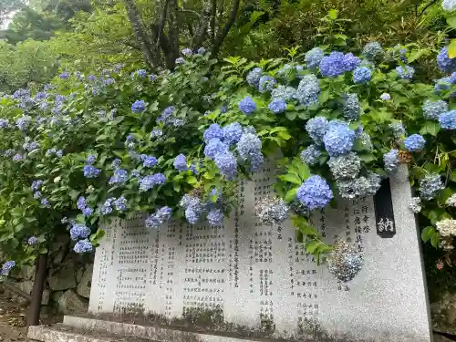 長谷寺(奈良県)