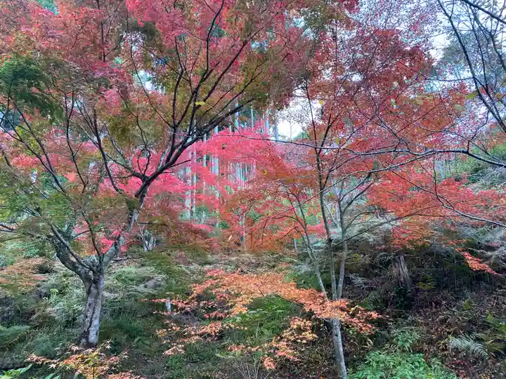 高蔵寺(兵庫県)