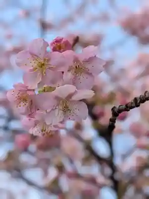 蓮華寺(東京都)