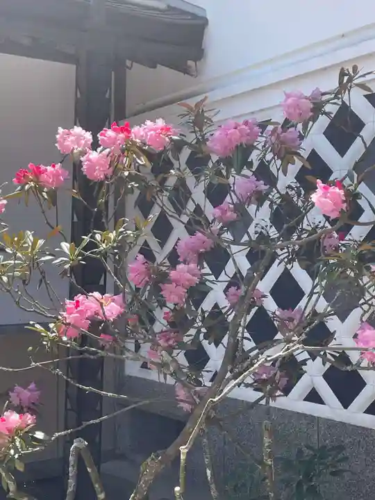 無量光院(和歌山県)