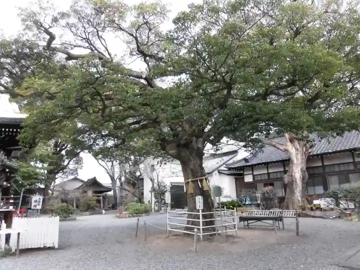 生根神社(大阪府)