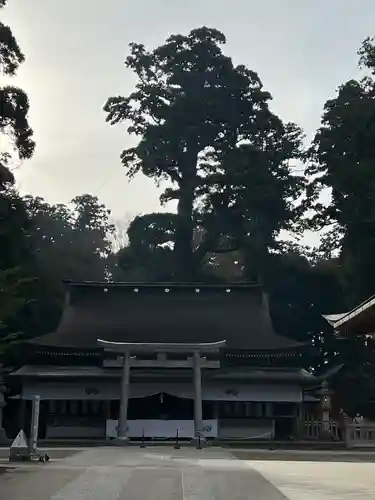 鹿島神宮(茨城県)