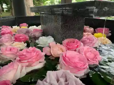 新琴似神社の手水舎