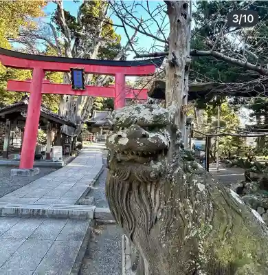 伊古奈比咩命神社の狛犬