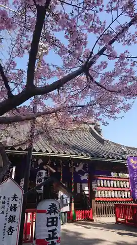鴻神社の本殿・本堂