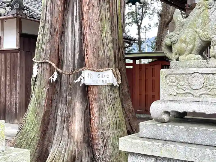 植木神社(三重県)