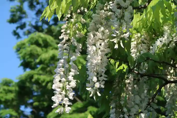 玉敷神社(埼玉県)