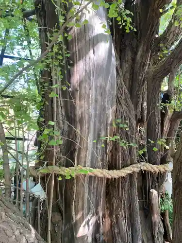 稲毛神社(神奈川県)