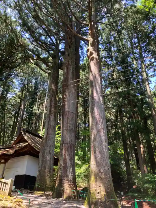 宝積山光前寺(長野県)