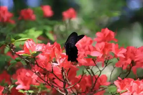 高屋敷稲荷神社の庭園