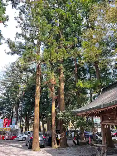 駒形神社の自然