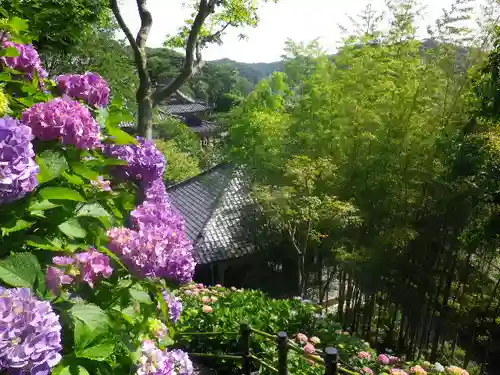 長谷寺のその他建物