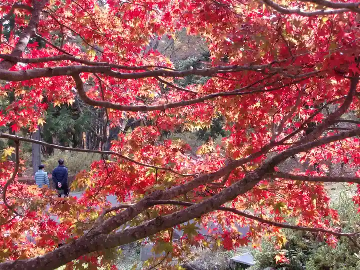古峯神社の庭園