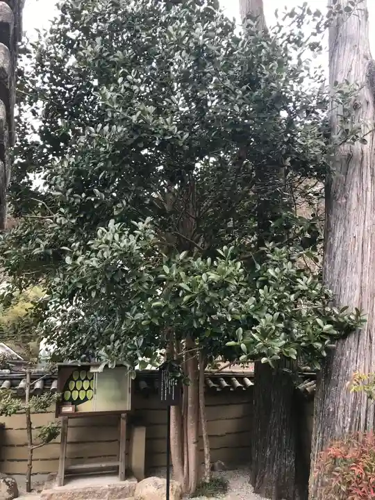 法起院(奈良県)