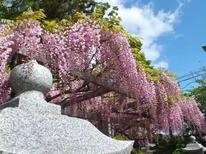 三大神社の自然