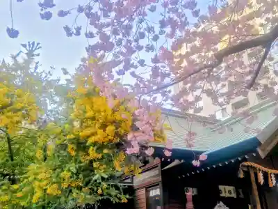 蔵前神社の{uncategorized: "未分類", other: "その他", undefined: "問題あり", building: "その他建物", grave: "お墓", sacred_gate: "鳥居", guardian: "狛犬", statue: "像", buddha: "仏像", history: "歴史", nature: "自然", garden: "庭園", animal: "動物", pagoda: "塔", temizu: "手水舎", mountain_gate: "山門・神門", sanctuary: "本殿・本堂", subordinate: "末社・摂社", art: "芸術", scenery: "景色", jizo: "地蔵", ema: "絵馬", goshuin: "御朱印", omikuji: "おみくじ", items: "授与品その他", amulet: "お守り", goshuincho: "御朱印帳", eats: "食事", festival: "お祭り", votive_dance: "神楽", shichigosan: "七五三参", wedding: "結婚式", experience: "体験その他", initially: "初詣", around: "周辺", anti_infection: "感染症対策"}