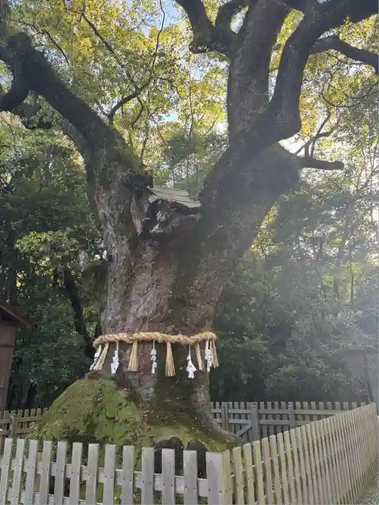 熱田神宮(愛知県)