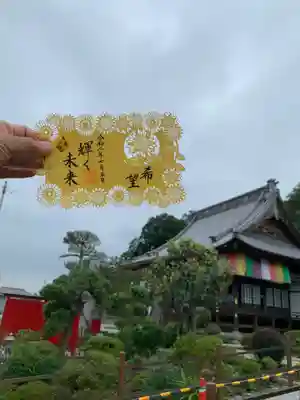 曇りなので、バックが青くなりません。