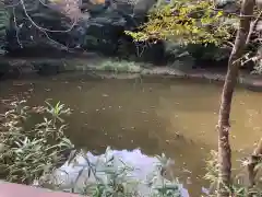 白兎神社の景色