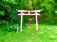 小山稲荷社の鳥居