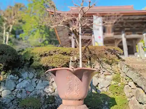 松尾寺(京都府)