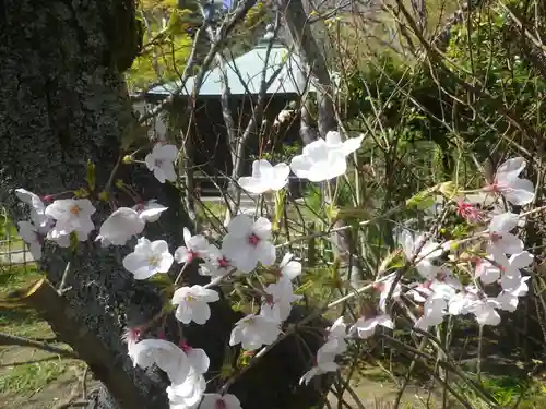 浄光明寺の自然