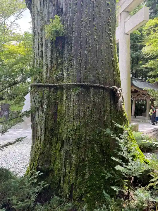 富士山東口本宮 冨士浅間神社(静岡県)