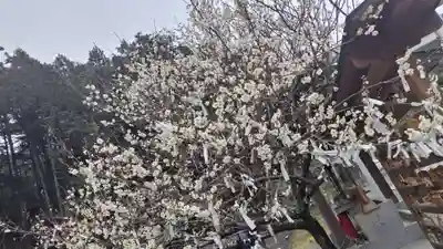 出雲大社京都分院(京都府)