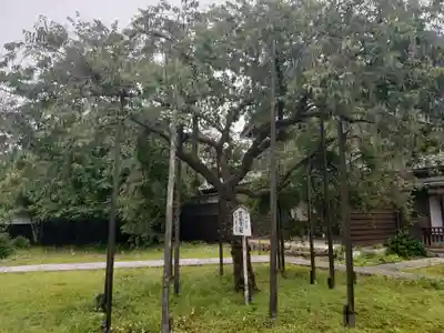 城福寺(福井県)