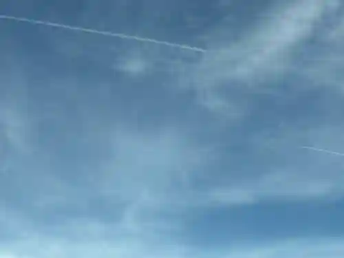 雀神社(茨城県)