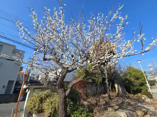東本願寺 堺南御坊(大阪府)