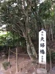 八重垣神社の建物その他