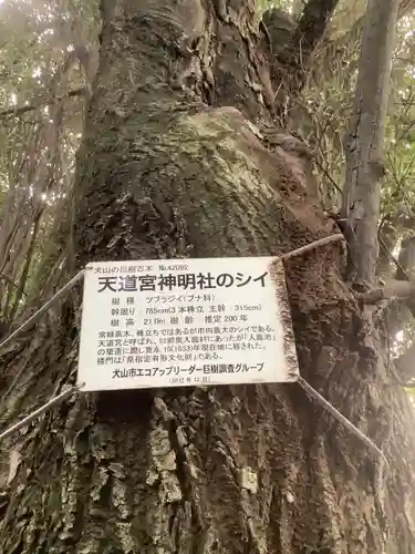 天道宮神明社（前原）(愛知県)