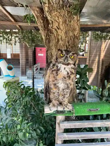 宮地嶽神社(福岡県)