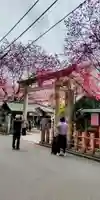 蔵前神社(東京都)