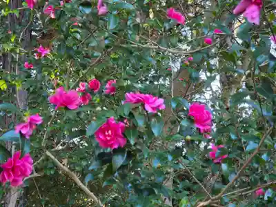 沙沙貴神社(滋賀県)