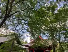 井の頭弁財天（大盛寺）(東京都)