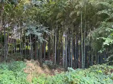 正法寺(千葉県)