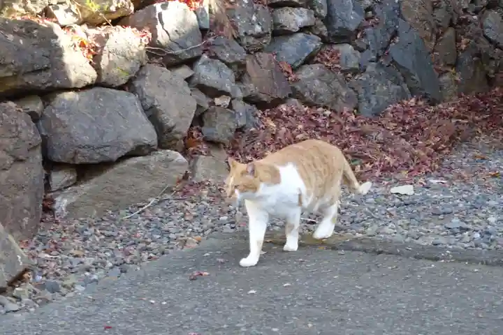 唐澤山神社(栃木県)