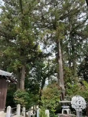 天が岡若宮神社(兵庫県)