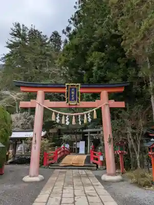 天河大辨財天社の{uncategorized: "未分類", other: "その他", undefined: "問題あり", building: "その他建物", grave: "お墓", sacred_gate: "鳥居", guardian: "狛犬", statue: "像", buddha: "仏像", history: "歴史", nature: "自然", garden: "庭園", animal: "動物", pagoda: "塔", temizu: "手水舎", mountain_gate: "山門・神門", sanctuary: "本殿・本堂", subordinate: "末社・摂社", art: "芸術", scenery: "景色", jizo: "地蔵", ema: "絵馬", goshuin: "御朱印", omikuji: "おみくじ", items: "授与品その他", amulet: "お守り", goshuincho: "御朱印帳", eats: "食事", festival: "お祭り", votive_dance: "神楽", shichigosan: "七五三参", wedding: "結婚式", experience: "体験その他", initially: "初詣", around: "周辺", anti_infection: "感染症対策"}