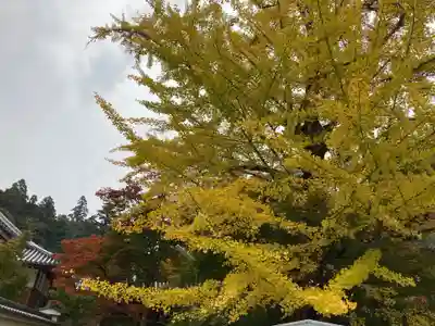 一乗寺(兵庫県)