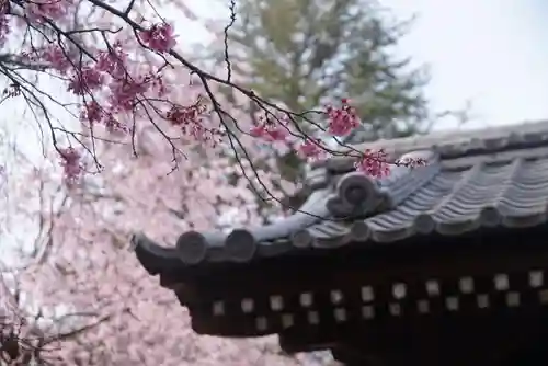 新井薬師（梅照院）のその他建物