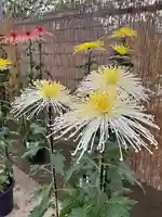 蚊里田八幡宮(長野県)