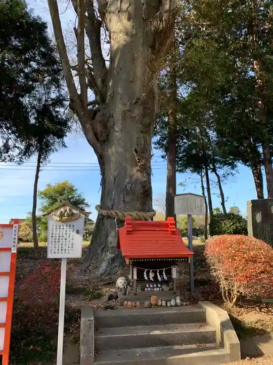 薬師寺八幡宮の自然