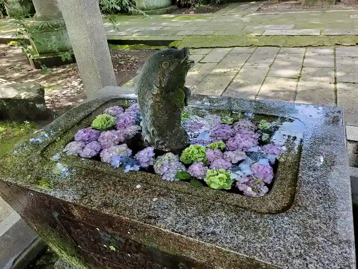 神炊館神社 ⁂奥州須賀川総鎮守⁂の手水舎
